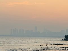 -陈鹏鹏潮汕菜(欢乐海岸 海边景观店)