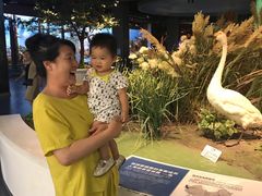 -扬州科技馆