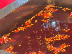 -二荆条·蜀鲜汇城市森林火锅