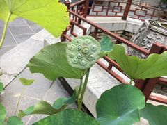 -湘子庙