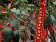 -梅州天地人花园酒店(梅县人民广场店)