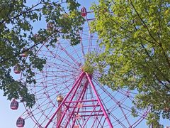 -淄博花灯齐彩城