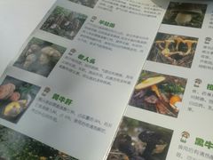 -太婆天府山珍酒楼(亚运村店)