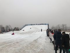 -绿野森林乐园冰雪季