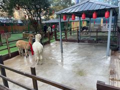 -台州海洋世界