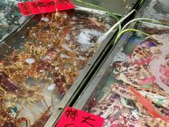 -湛江渔港·大排档(乐园路总店)