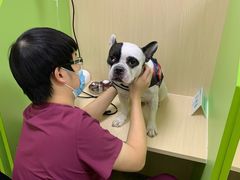 -美联众合动物医院·24h转诊中心