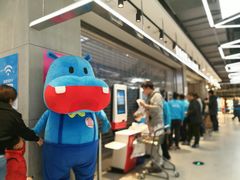 -盒马鲜生(莱蒙都会店)