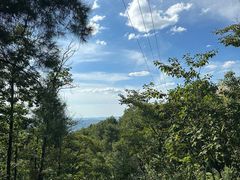 -铁山坪森林公园