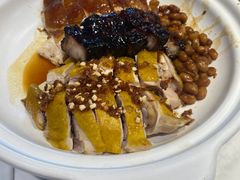 -金戈戈香港豉油鸡(南山海岸城店)