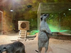 -酷嗒动物文化乐园(cutezoo西溪乐天城店)