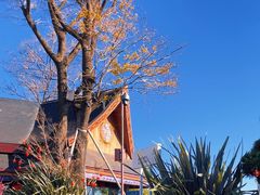 -七彩云南古滇温泉山庄