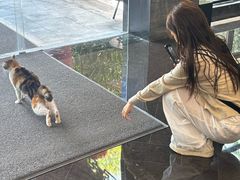 -南京夫子庙石唯玉雨花石酒店