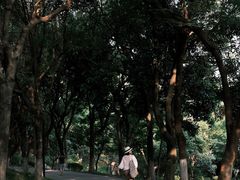 -燕晗山郊野公园