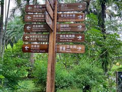 -中国科学院西双版纳热带植物园