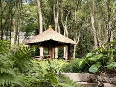 -普陀山慧济禅寺