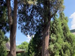 -报恩寺(平武县)