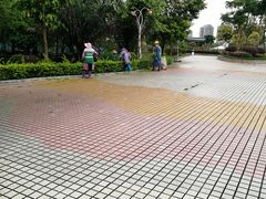 -凤岭儿童公园