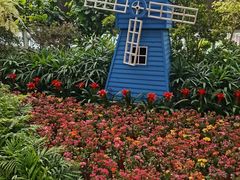 -南宫五洲植物乐园