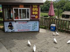 -无锡动物园·太湖欢乐园