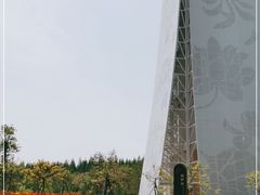 -东平国家森林公园
