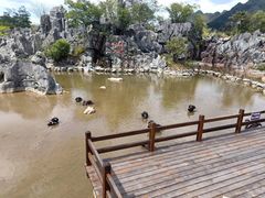 -千岛湖石林