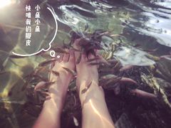 -天目湖涵田半山温泉