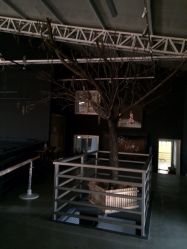 iphone_upload_pic-北京当代芭蕾舞团·艺术中心