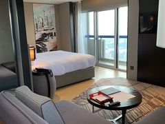 -新加坡瑞士史丹福酒店