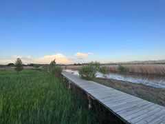 -野鸭湖国家湿地公园