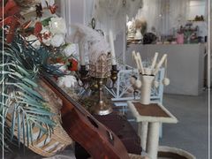 店内布置-共舞时光猫咖·狗咖(新街口店)