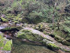-本溪汤沟绿石谷森林公园