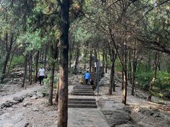 -云龙山