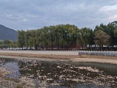 -江心岛