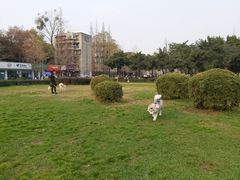 -四川大学(望江校区)