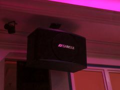 -金青果甄选KTV(劳动公园店)