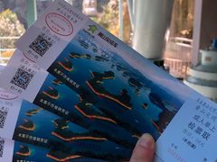 -千岛湖东南湖区