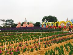 -松山湖梦幻百花洲