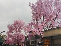 -首开·龙湖成都西宸天街