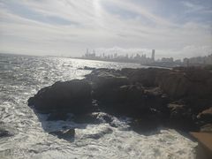 -小麦岛公园