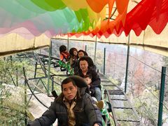 -桂林古东瀑布景区