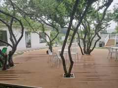 -青龙山国家森林公园