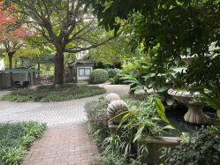 -莲生母婴月子中心(清水河公园店)