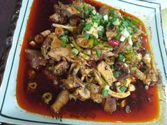 -灯盏窝饭店(新都分店)