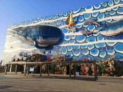 -华夏文旅海洋公园