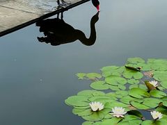 -浙江农林大学(东湖校区)