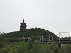 -永定河休闲森林公园