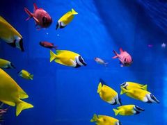 -福州罗源湾海洋世界旅游区