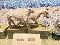 -中国农业博物馆