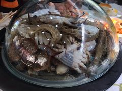-海岸风情蒸汽海鲜自助餐厅(家宴金手勺店)